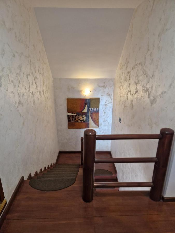 Vila Pinul Si Mesteacanul بويانا براسوف المظهر الخارجي الصورة